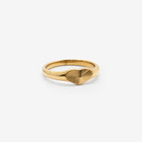 18k gold plated stainless steel stargazed lover ring by Salaam Gallery, elegant and affordable jewelry