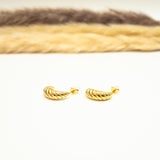 Crescent Shell Earrings