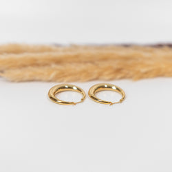 Crescent Hoop Earrings